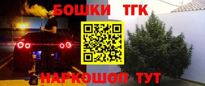 шишки Беслан
