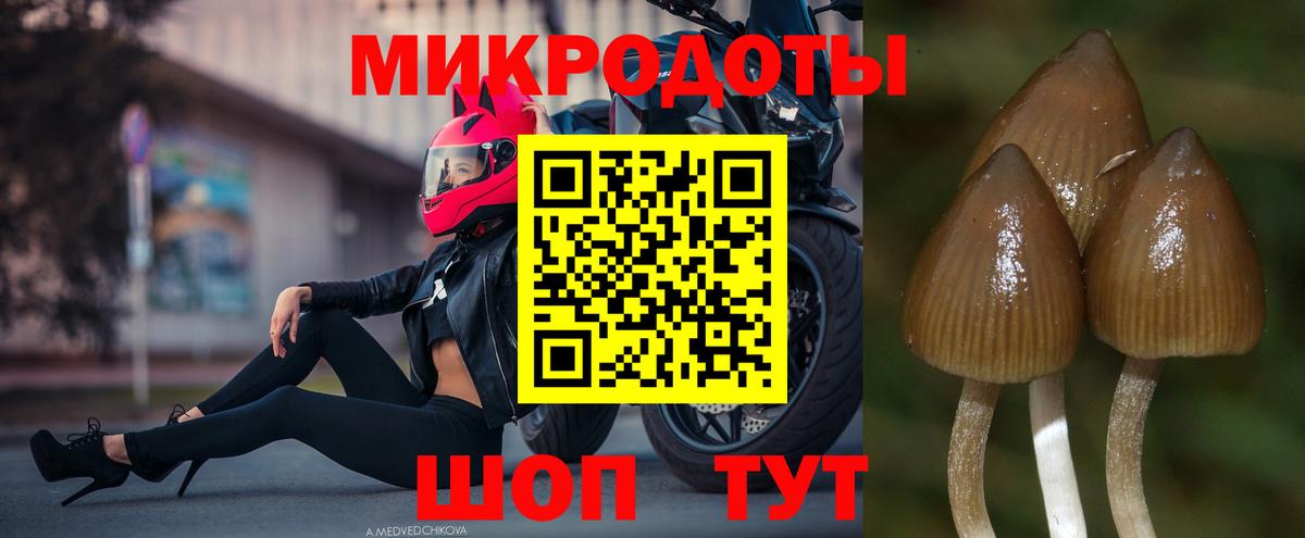 Псилоцибиновые грибы Cubensis  Вход с VPN  сколько стоит  Зеленодольск  Псилоцибиновые грибы мицелий 